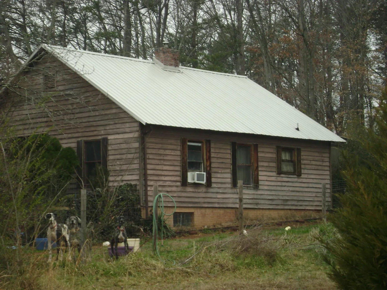White metal roof on an old wood sided farmhouse, from a Asphalt Shingle Roof Repair job in Carpenter